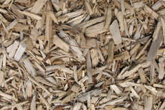 biomass boilers Twr